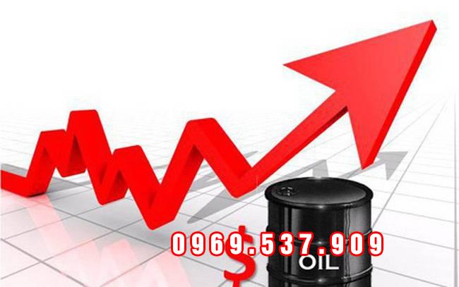giá xăng dầu hôm nay