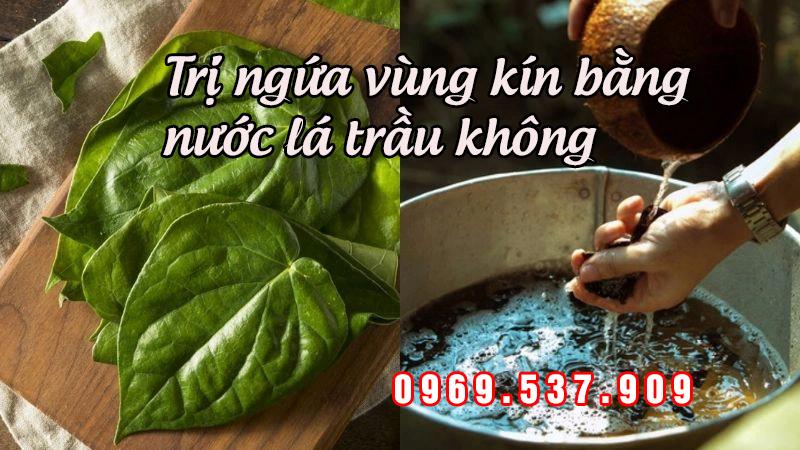 trị ngứa vùng kín bằng lá trầu không